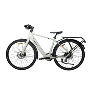 MS Energy c40